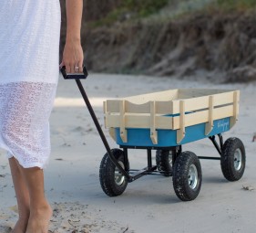 Beach Cart