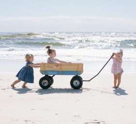 Beach Cart