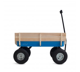 Beach Cart